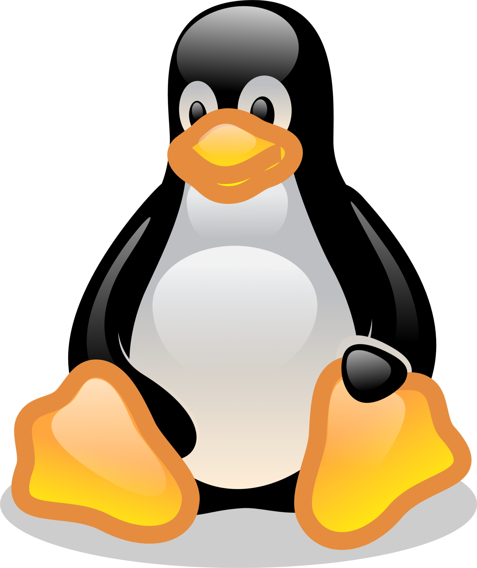 Linux Software Development